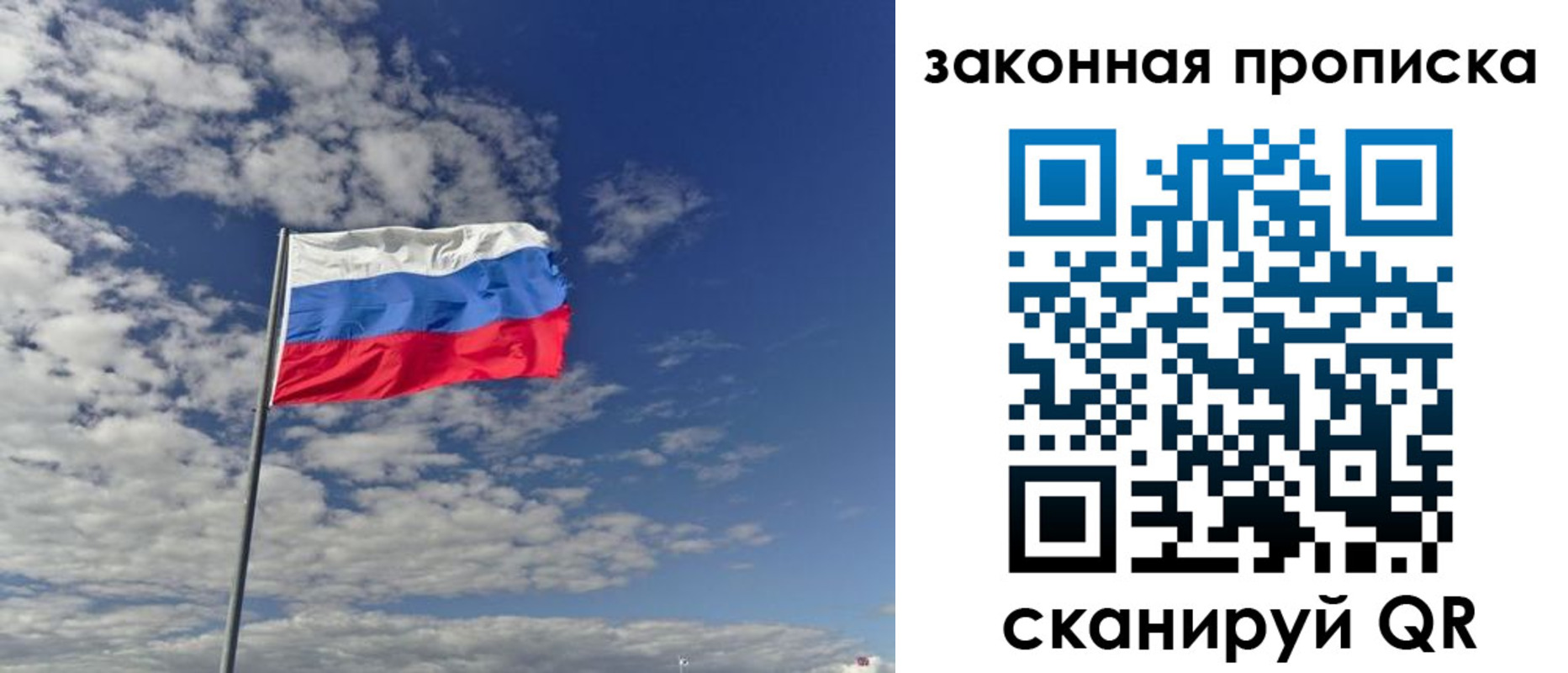 прописка поиск в Ногинске